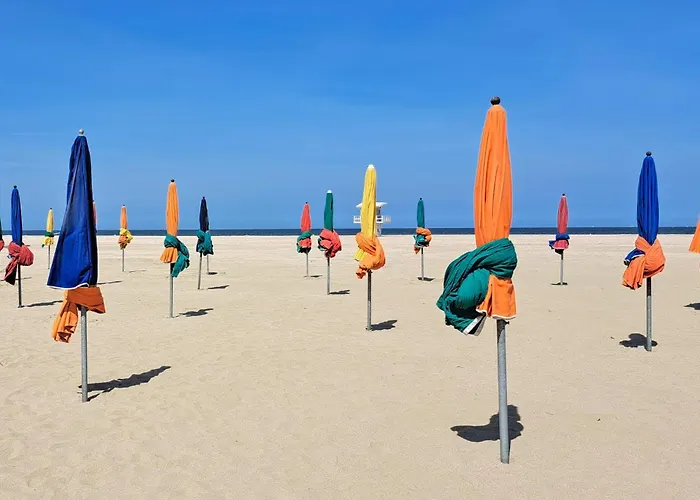 Beautiful In With Wifi 펜션