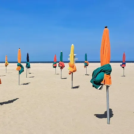 Beautiful In With Wifi Holiday home